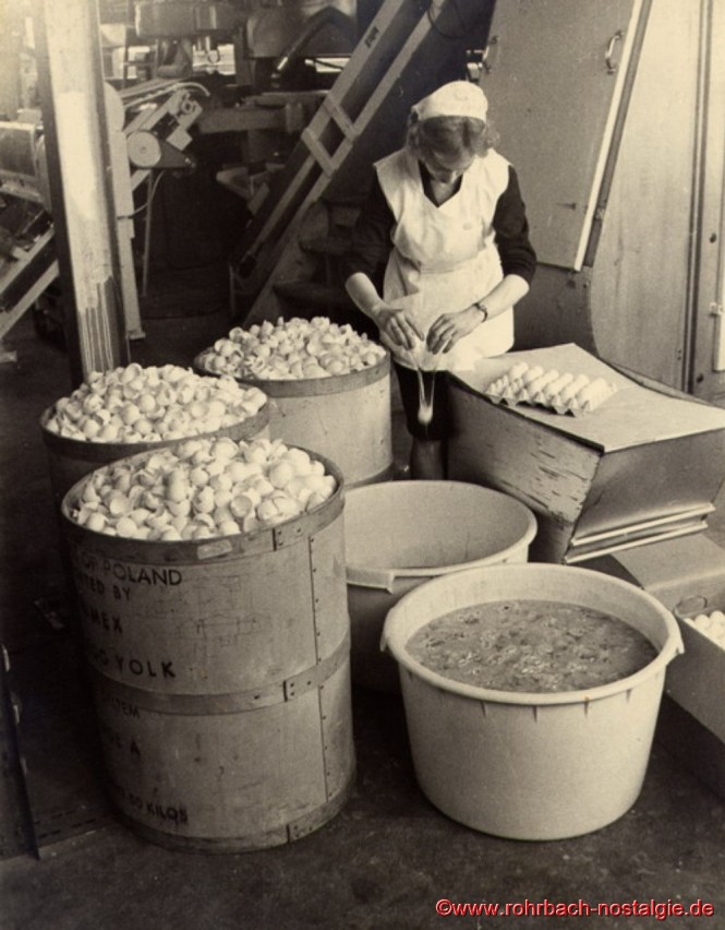 Mitarbeiterin beim Aufschlagen von täglich 5000 Eiern