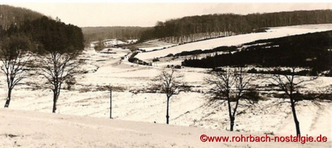 Um 1958 Blick ins Glashütter Tal von St.Ingberter Seite gesehen