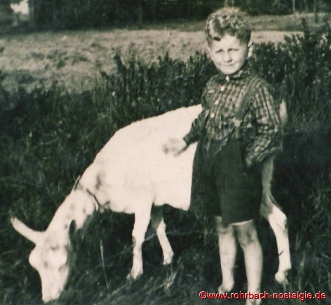 Um 1949 - Der kleine Alois Lesch beim Geißenhüten auf der Siedlung