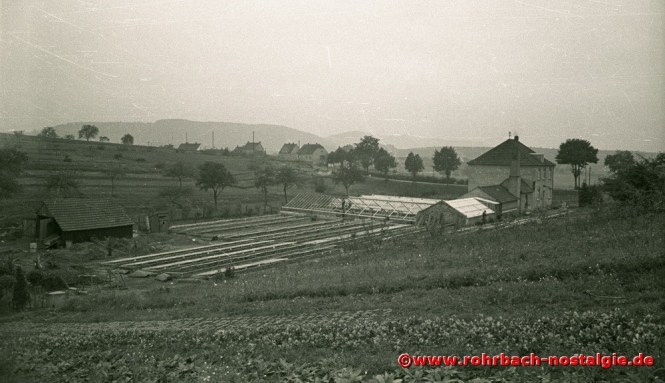 Blick vom Mühlenwäldchen auf die letzten Häuser der Schlawerie. Im Vordergrund die Gärtnerei Stuppi. Heute stehen dort zwei Hochhäuser