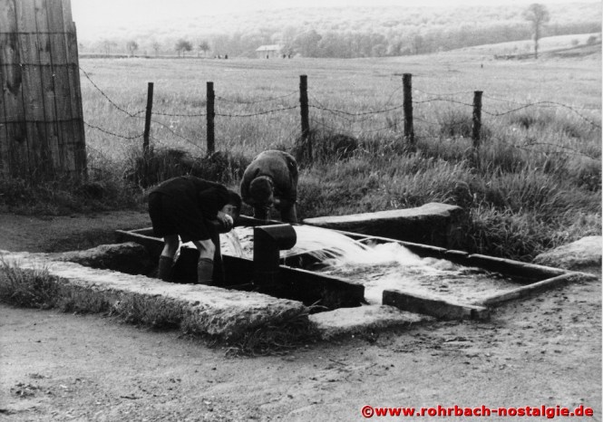Waschbrunnen im Wiesental hinter der Spieser Straße. Im Hintergrund die Rohrbacher Mühle