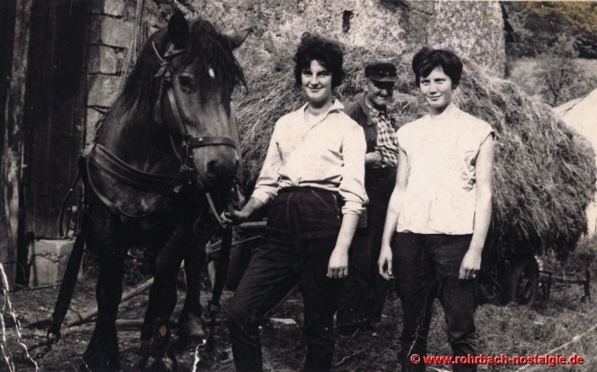 1958 Heuernte auf dem Glashütterhof. Ludwig Pauly ("de Glashütter Lui") mit seinen hübschen Töchtern Ursula, Gerlinde und seinem Pferd Fritz